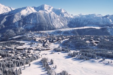 Areal view of pistes and trees in ski resort
