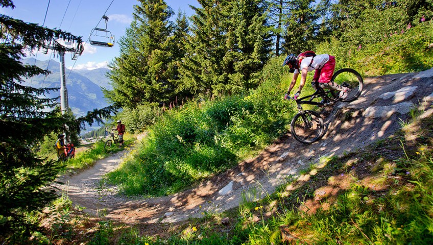 Mountain bikers in the summer alps