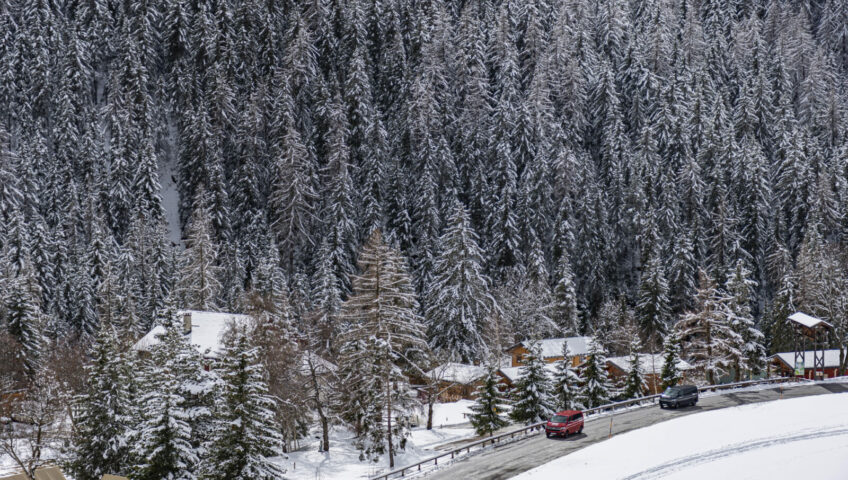 Snow covered tree and mountain road with vehicles on