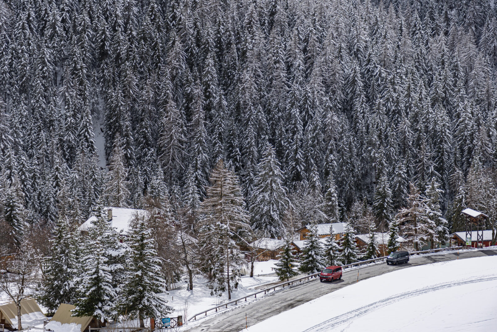 Mountain road with trees covered in snow